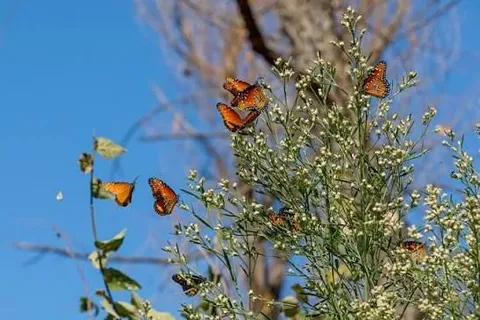 Custom gift image for registry 15927