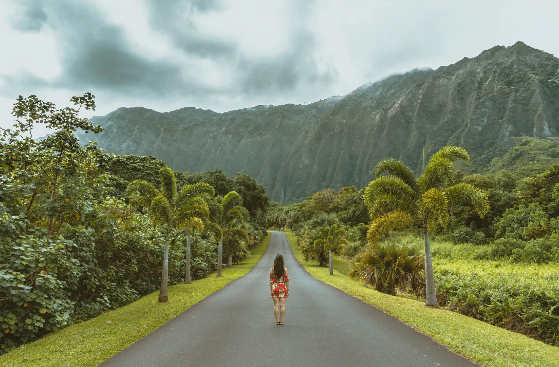Hawaii Destination Wedding Guide