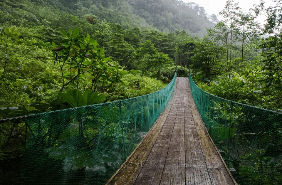 Costa Rica Bridge