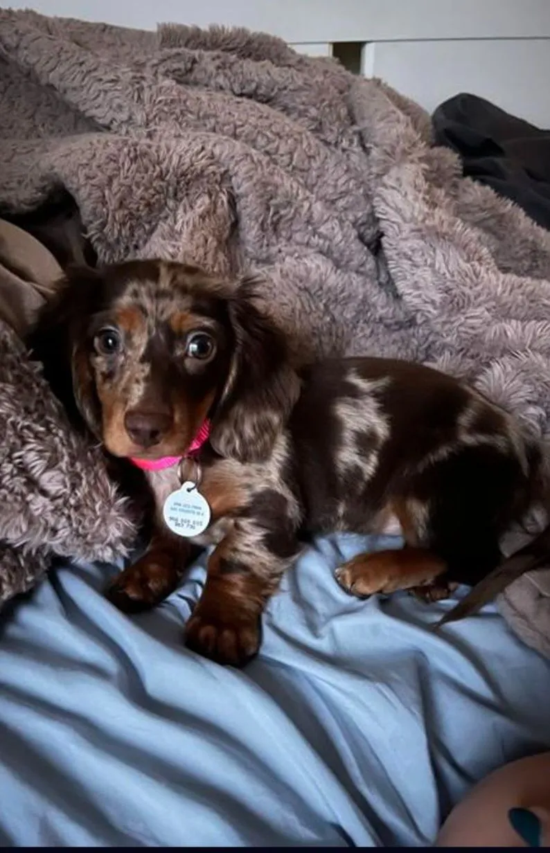 Custom gift image for registry 16608