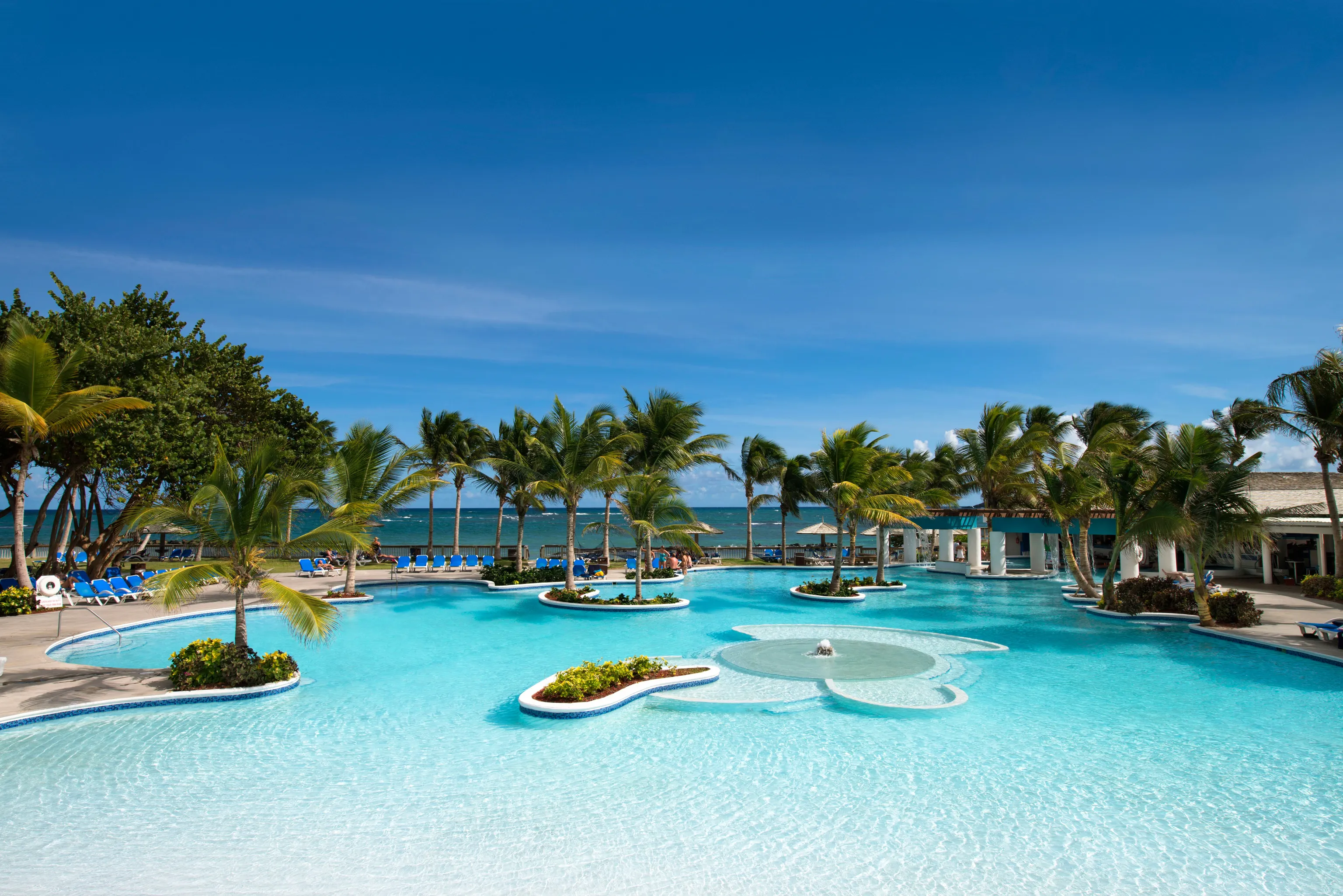 resort pool lined with palm trees on ocean shore