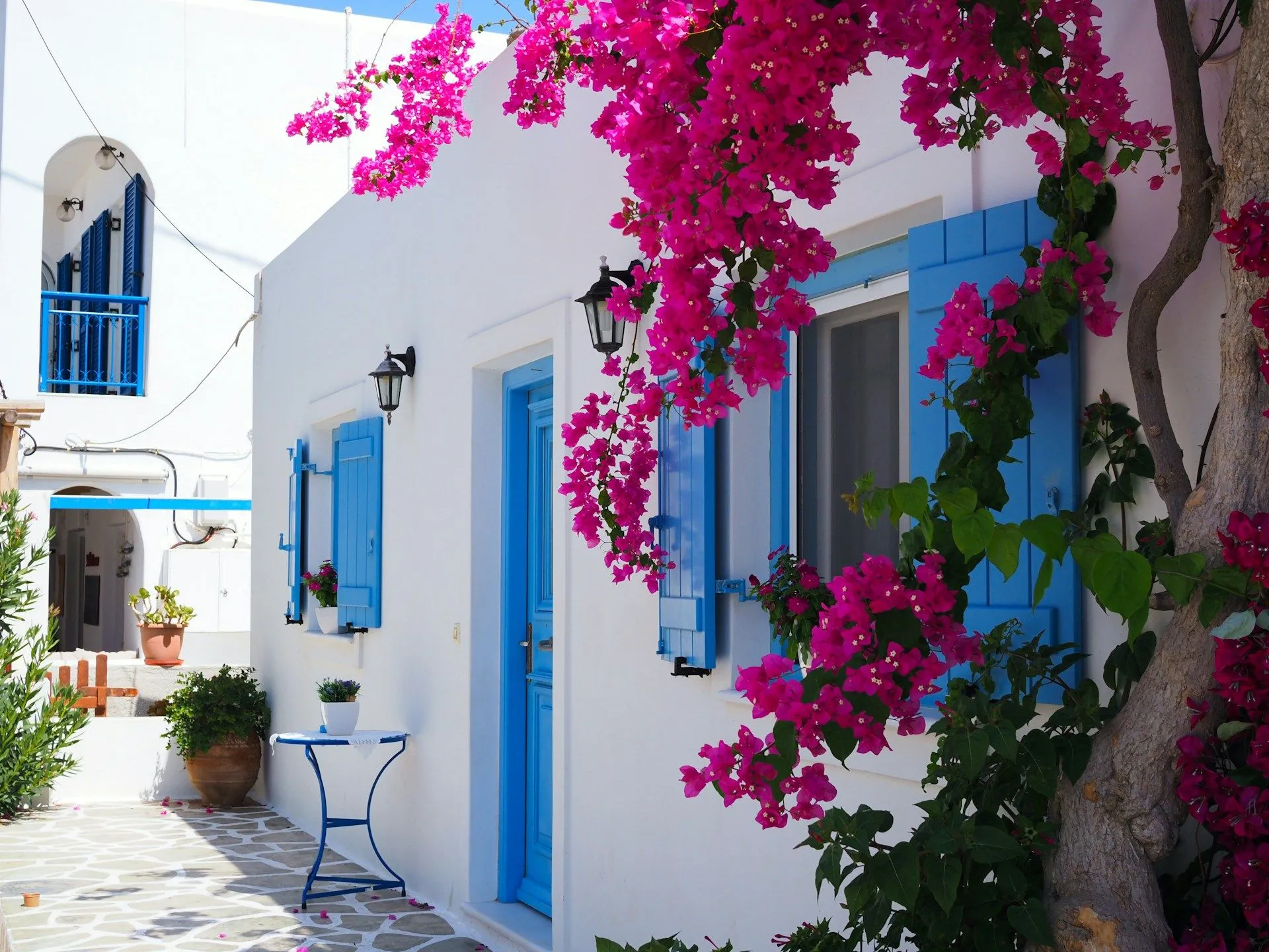 Whitewashed Greek style buildings with blue shutters and pink flowers