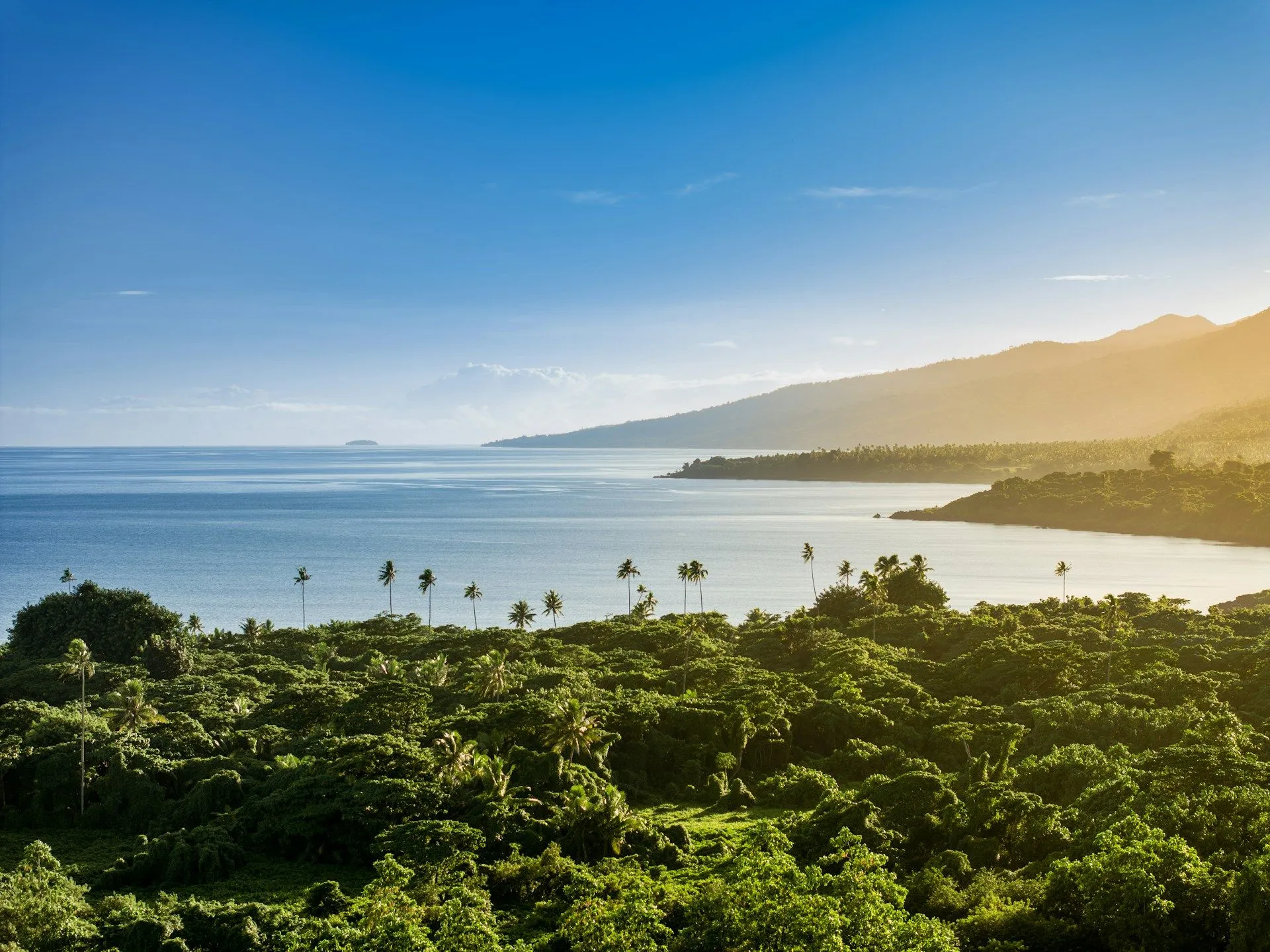 Scenic Fiji coastline with dense tropical forest, palm lined shore, and sunlit blue ocean stretching toward distant islands.